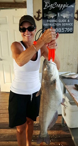 Bratton Large Catfish
